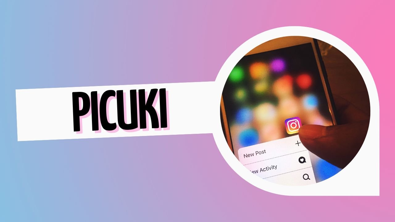 instagram viewer picuki