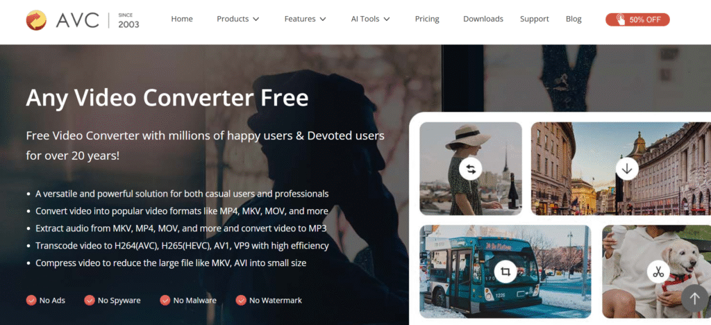 Any Video Converter
